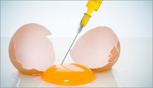 molecular gastronomy