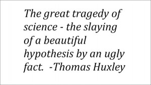 The Key to a Great Hypothesis